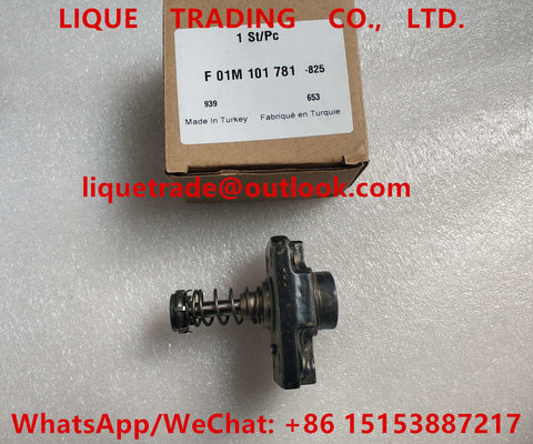 China BOSCH Genuine cylinder head F01M101781 , F 01M 101 781 for common rail fuel pump supplier