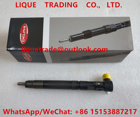 China DELPHI Common rail injector EMBR00301D , R00301D , 6710170121 , A6710170121 for SSANGYONG Korando supplier