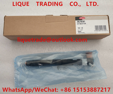 China DELPHI Common rail fuel injector 28236381 for HYUNDAI Starex 33800-4A700 , 338004A700 supplier