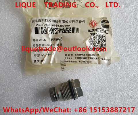 China BOSCH Pressure Relief Valve 4938005 , 1110010013 , 1 110 010 013 for Cummins supplier