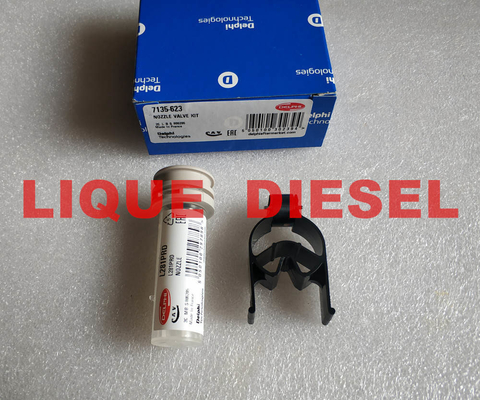 China DELPHI Fuel injector nozzle and valve kit 7135-623 for R05501D, EJBR05501D, 33800-4X450, 33801-4X450 supplier