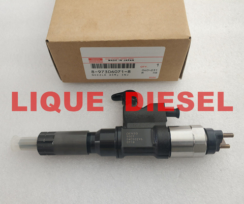 China DENSO fuel injector 095000-5007 , 8-97306071-8 , 0950005007 , 97306071 , 8973060718 supplier