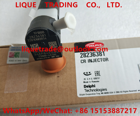 China DELPHI Common rail injector 28236381 , 33800-4A700 , 338004A700 for HYUNDAI Starex 33800 4A700 supplier
