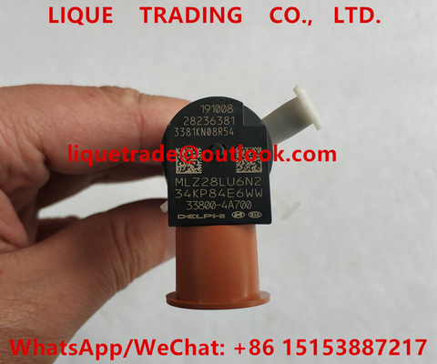 China 28236381 , 33800-4A700 DELPHI Fuel injector  338004A700 for HYUNDAI 33800 4A700 supplier