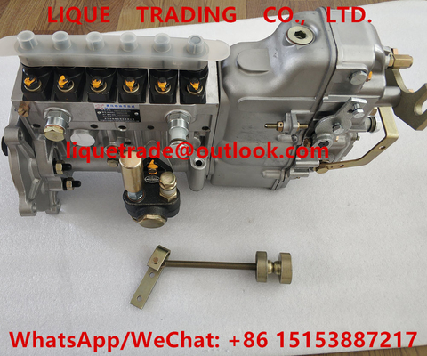 China High pressure fuel injection pump assembly BH6PA110R , 6R4ZLD310100 supplier