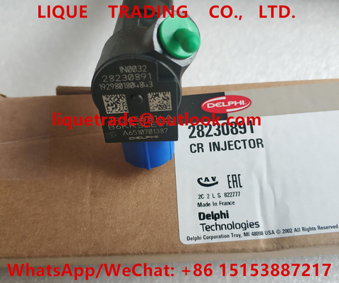 China DELPHI Common Rail Injector 28230891 , A6510701387  Fuel Injector 6510701387 supplier