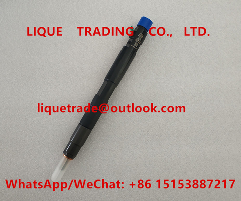 China DELPHI INJECTOR 28229876 ,  320/06827 , 32006827 , 320-06827 ,  320 06827 for JCB 4.4D supplier