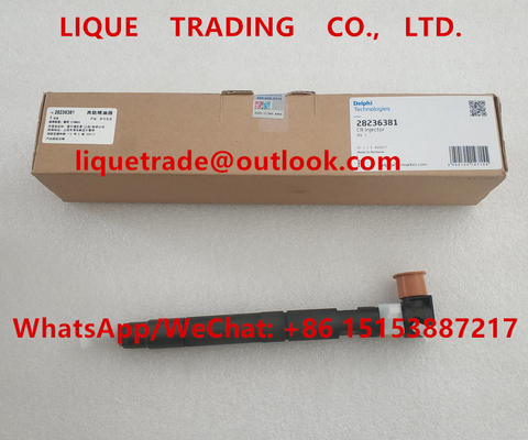 China DELPHI Common rail injector 28236381, 33800-4A700 , 338004A700 , 33800 4A700 for HYUNDAI supplier