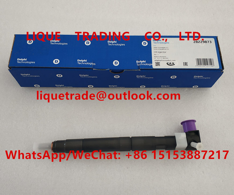 China DELPHI fuel injector 33800-4A710 , 28229873 for HYUNDA KIA 33800 4A710 , 338004A710 supplier