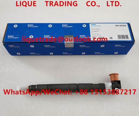 China DELPHI Common rail injector 28236381 for HYUNDAI 33800-4A700 , 338004A700 supplier