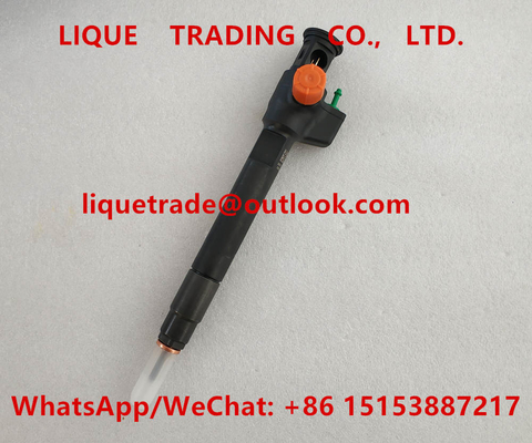 China DELPHI Fuel Injector 28602948 ,  9674984080 , 28388960 , 28319895 Genuine and New supplier