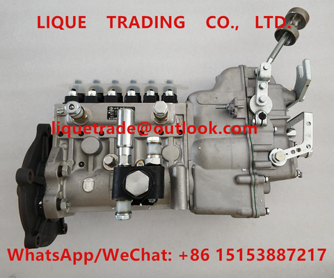 China High pressure fuel injection pump assembly BH6PA110R , 6R4ZLD310100 LONGKOU PUMP supplier
