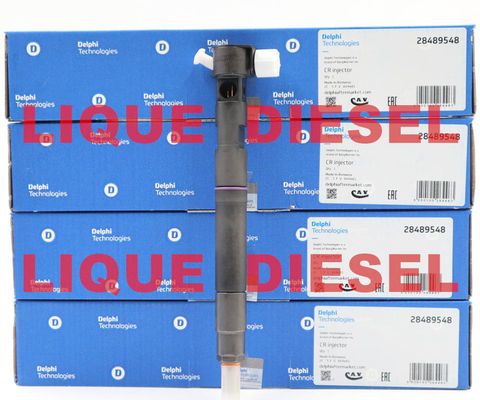 China DELPHI Common rail injector 28489548 / 25195089 , 28264951 / 25183186 supplier