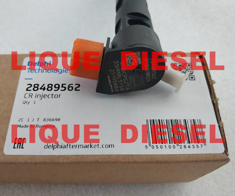 China DELPHI Common rail injector 28489562 / 25195088 , 28264952 / 25183185 supplier