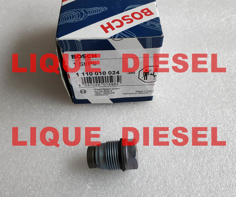 China BOSCH Pressure Relief Valve 1110010024 , 1 110 010 024 supplier