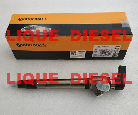 China Common Rail Injector BK2Q-9K546-AG , BK2Q9K546AG VDO injector A2C59517051 , 1746967 supplier