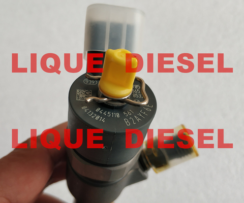 China BOSCH Fuel Injector 0445110561  0 445 110 561  0445 110 561  0445110 561 supplier