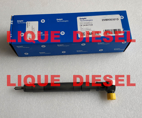 China DELPHI 0301D Common rail injector EMBR00301D R00301D 6710170121 A6710170121 SSANGYONG Korando injector supplier