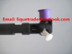 DELPHI Genuine and New Common rail injector 28229873 for HYUNDA KIA 33800-4A710 supplier