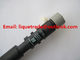 DELPHI Common rail injector EJBR04701D EJBR03401D for SSANGYONG A6640170221 A6640170021, 6640170221, 6640170021 supplier