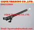BOSCH Original and New Common rail injector 0445110101 , 0445110064 for HYUNDAI 33800-27000 supplier