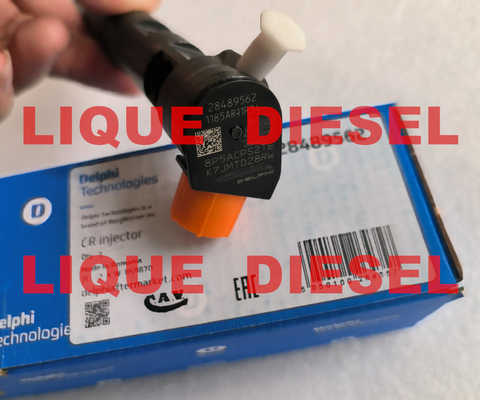 DELPHI Common Rail fuel injector 28489562  25195088 , 28264952  25183185 supplier