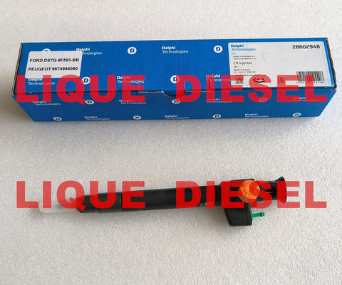 DELPHI Common Rail Injector 28602948 ,  9674984080 , 28388960 , 28319895 supplier