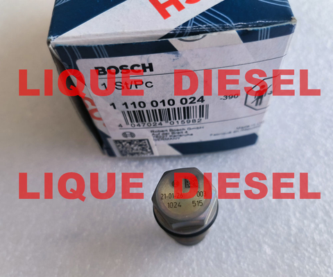 BOSCH Pressure Relief Valve 1110010024  1 110 010 024 supplier