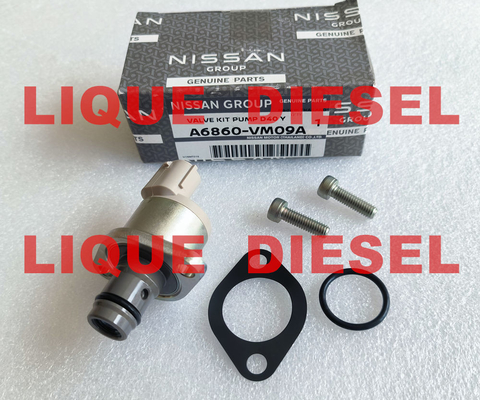 Overhaul kits A6860-VM09A A6860VM09A  A6860 VM09A  include valve 294200-0360 supplier