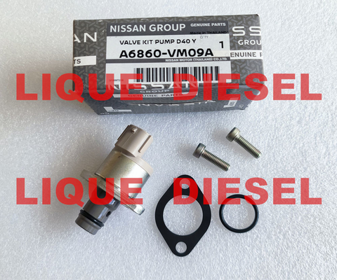 Overhaul kits A6860-VM09A A6860VM09A  A6860 VM09A  include valve 294200-0360 supplier