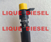 DELPHI injector EMBR00101D EMBR00101DP R00101D  R00101DP for Citroen  Peugeot 1980L3 FIAT 9686191080 supplier
