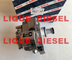 BOSCH common rail fuel pump 0445020175 0 445 020 175 for IVECO 5801382396 CASE NEW HOLLAND 84385110 supplier