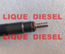 DELPHI fuel injector 33800-4A710 28229873 for HYUNDA KIA 33800 4A710 338004A710 supplier