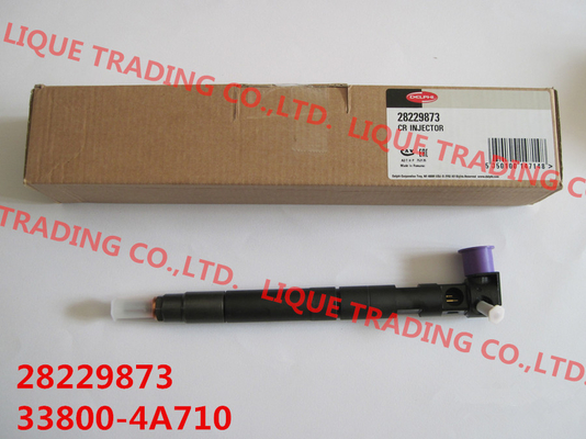 DELPHI Common rail injector 28229873 for HYUNDA KIA 33800-4A710 / 338004A710 supplier