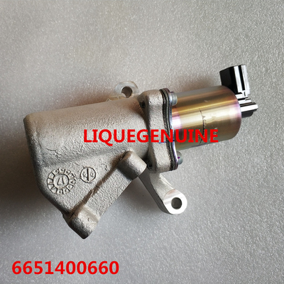 SSANGYONG EGR 6651400660 Actuator Exhaust Gas Recirculation Valve A6651400660  EGR VALVE supplier