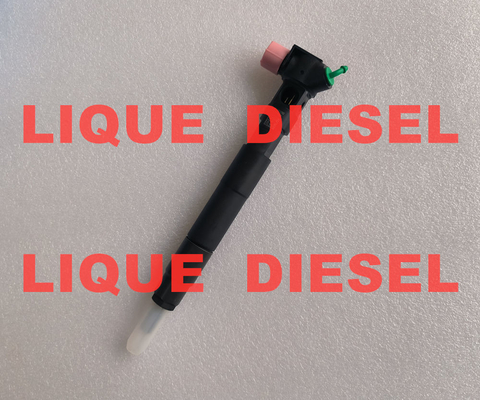 DELPHI Fuel Injector 28308779 A6510703287 6510703287 common rail injector supplier