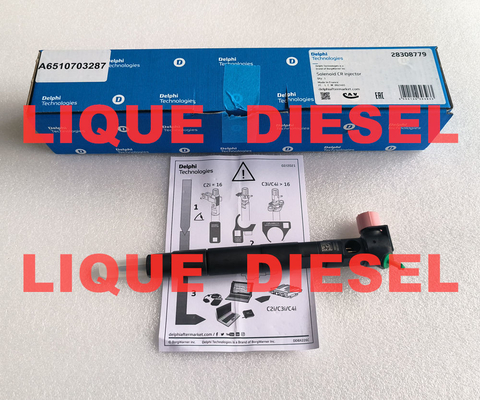 DELPHI Fuel Injector 28308779 A6510703287 6510703287 common rail injector supplier