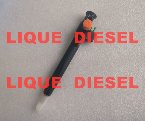 DELPHI Common Rail Injector 28602948 9674984080  28388960 D57Q-9F-893-BB D57Q9F893BB supplier