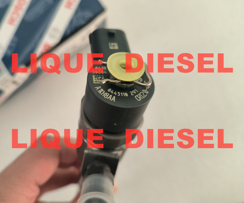 BOSCH Common Rail Injector 0445110291 0 445 110 291 0445 110 291 445110291 1112010-55D 111201055D supplier