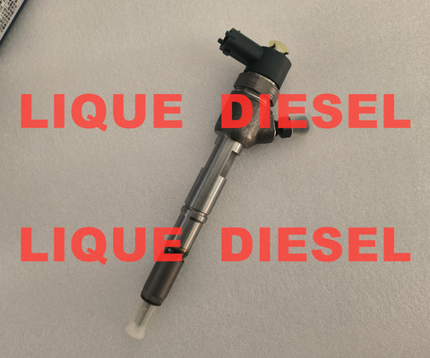 BOSCH Common Rail Injector 0445110291 0 445 110 291 0445 110 291 445110291 1112010-55D 111201055D supplier