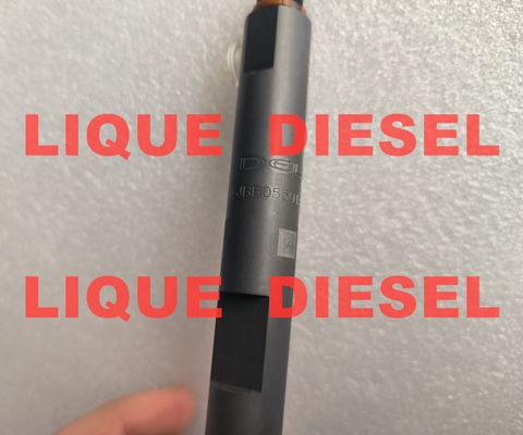 DELPHI Fuel Injector B05501A  LJBB05501A 320-06837 32006837 320 06837 5501A supplier