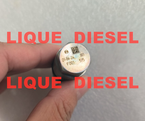 BOSCH Pressure Limiting Valve F00N010001 F 00N 010 001 F001 supplier