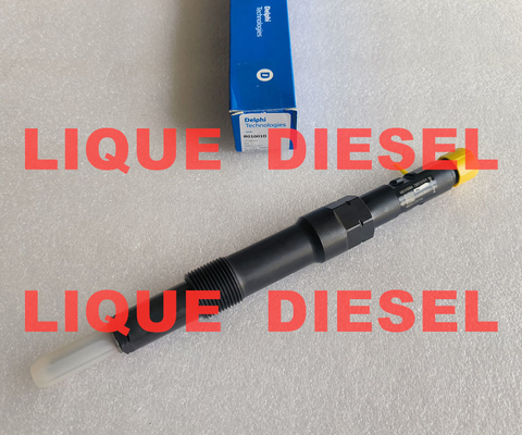 DELPHI Fuel injector R00401Z R01001D EJDR00401Z EJDR01001D supplier