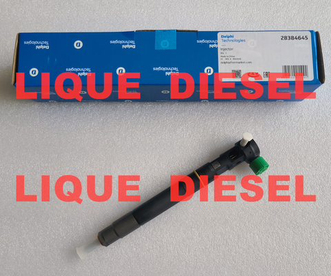 DELPHI fuel injector 28384645 A6720170021 6720170021 for SSANGYONG D22 EURO 6 supplier