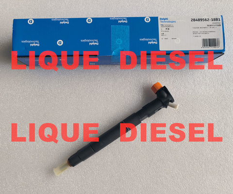 DELPHI fuel injector 28489562  25195088 28264952  25183185  Common Rail fuel injector supplier