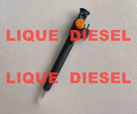 DELPHI Common Rail Injector 28602948 9674984080  28388960 D57Q-9F-893-BB D57Q9F893BB supplier