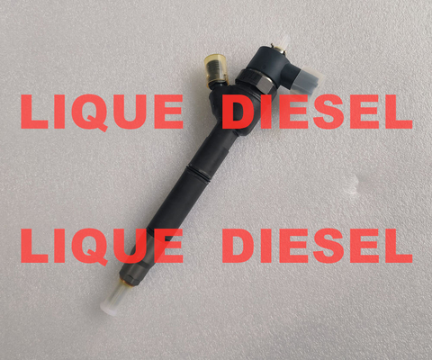 BOSCH Fuel injector 0445110255 0445110256 33800-2A400 0 445 110 255 0 445 110 256 338002A400 for HYUNDAI &amp; KIA supplier