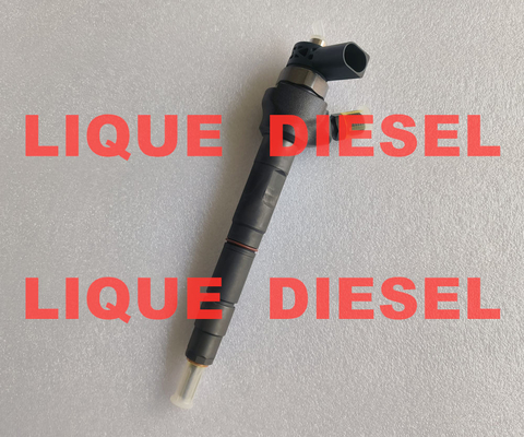 BOSCH Fuel Injector 0445110646 0445110369  0445110647  0 445 110 646 0445110 646 0 445 110 369  0 445 110 647 supplier