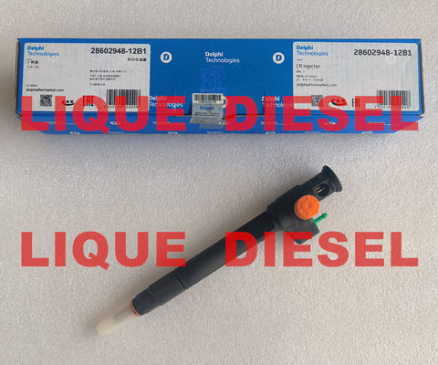 DELPHI Common Rail Injector 28602948 9674984080 28388960 28319895 D57Q-9F-893-BB D57Q9F893BB supplier