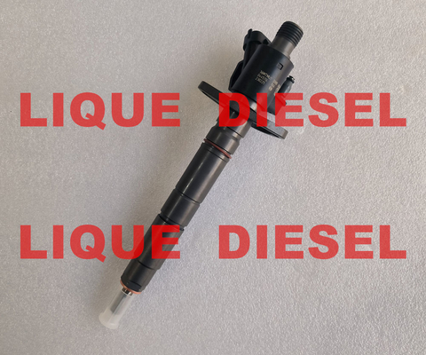 BOSCH  injector 0445116064 0445116012 0445116013 0 445 116 064 0 445 116 012 0 445 116 013 supplier